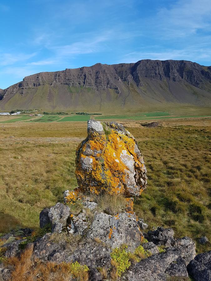 Pensjonat Miðjanes Reykhólahrepp Reykholar Zewnętrze zdjęcie