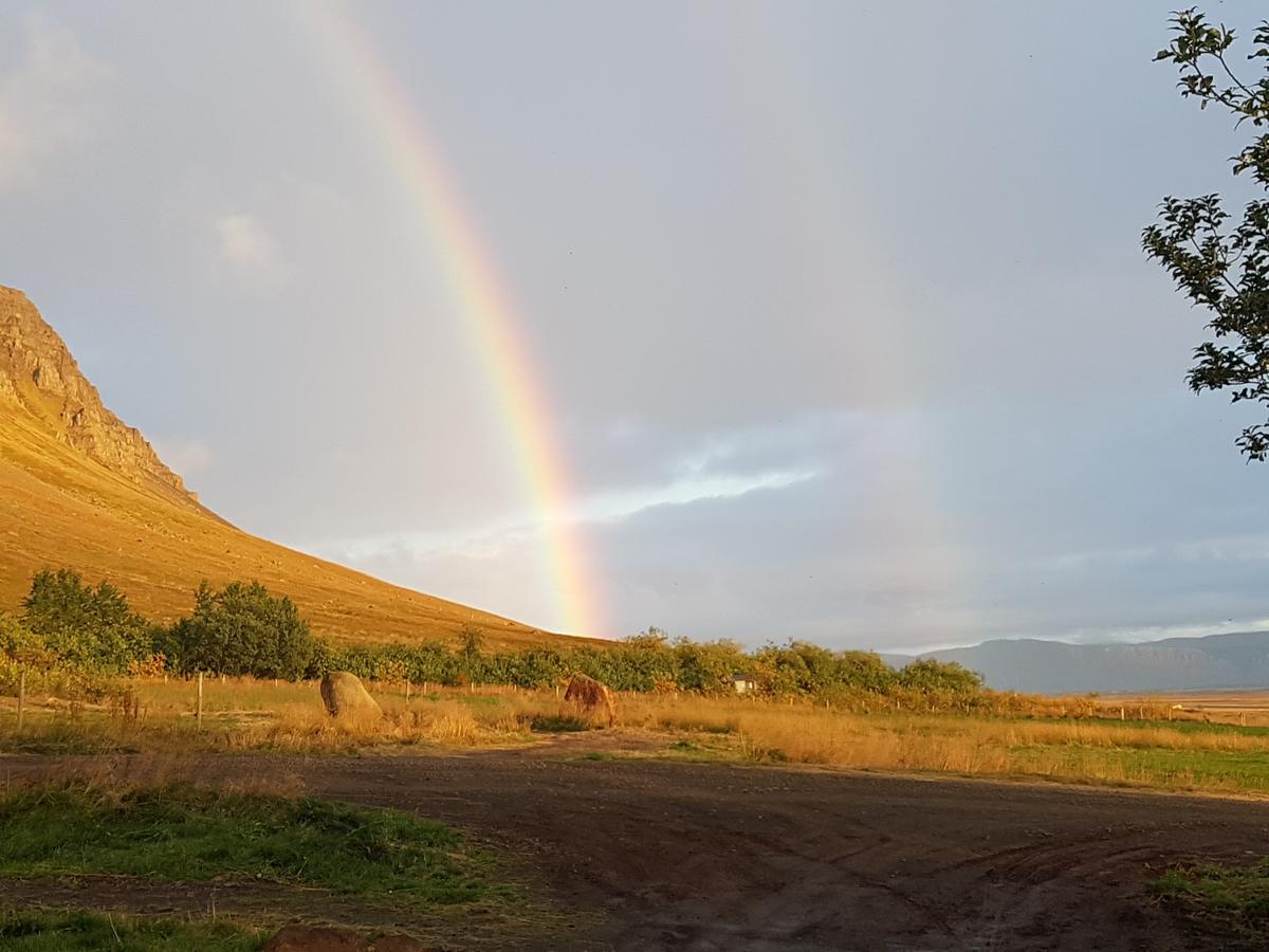 Pensjonat Miðjanes Reykhólahrepp Reykholar Zewnętrze zdjęcie