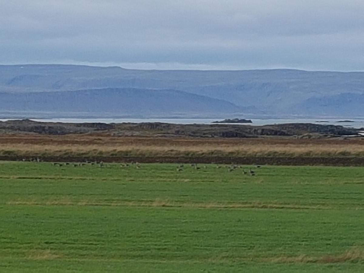 Pensjonat Miðjanes Reykhólahrepp Reykholar Zewnętrze zdjęcie