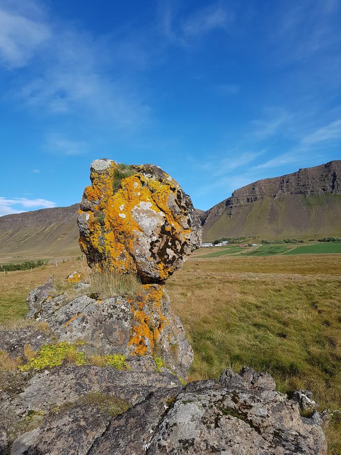 Pensjonat Miðjanes Reykhólahrepp Reykholar Zewnętrze zdjęcie