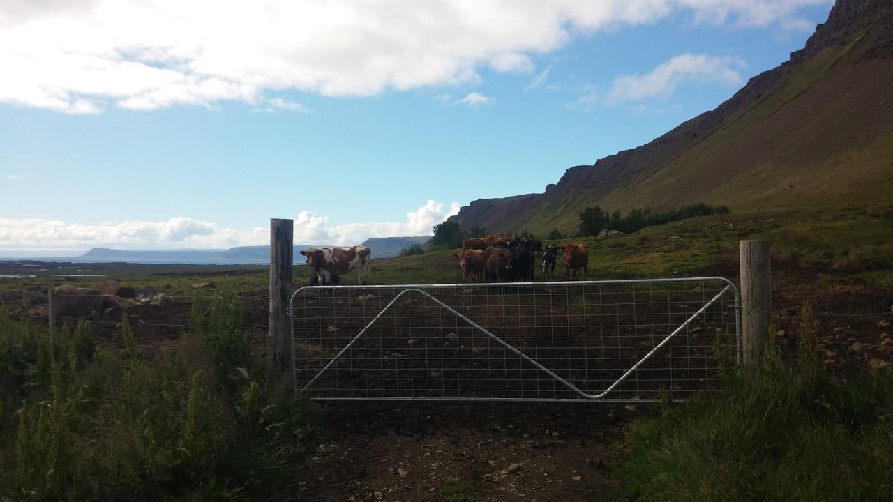 Pensjonat Miðjanes Reykhólahrepp Reykholar Zewnętrze zdjęcie